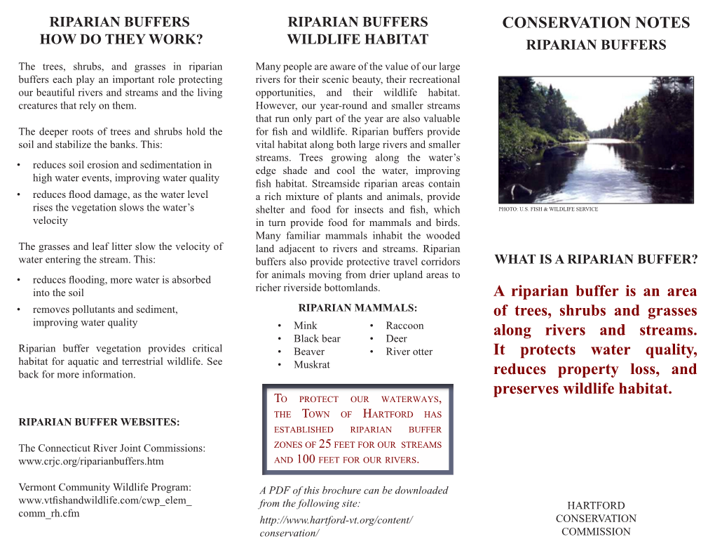 Riparian Buffer (PDF)