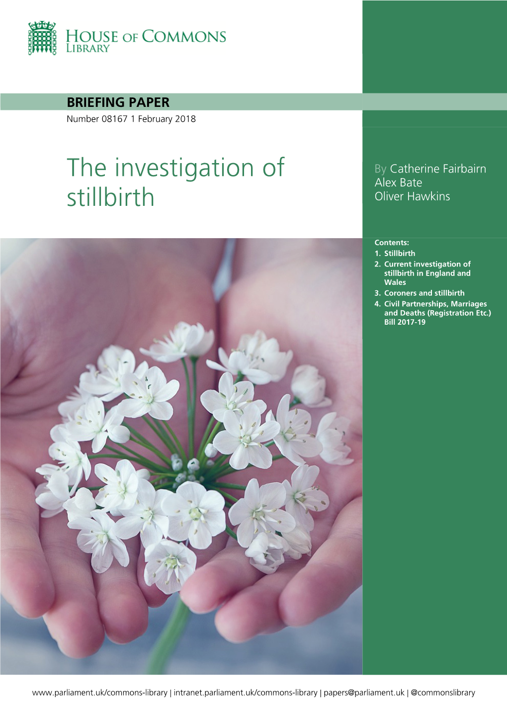 The Investigation of Stillbirth