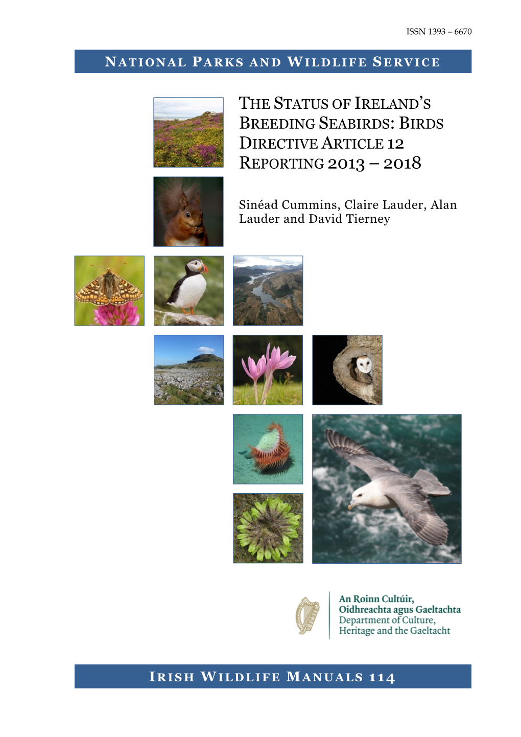 Irish Wildlife Manuals No. 114, the Status of Ireland's Breeding Seabirds