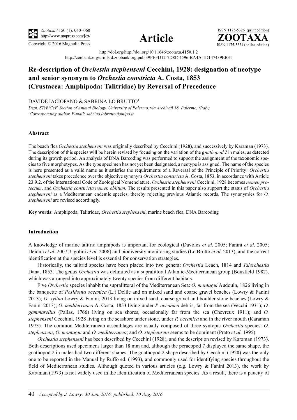 Re-Description of Orchestia Stephenseni Cecchini, 1928: Designation of Neotype and Senior Synonym to Orchestia Constricta A