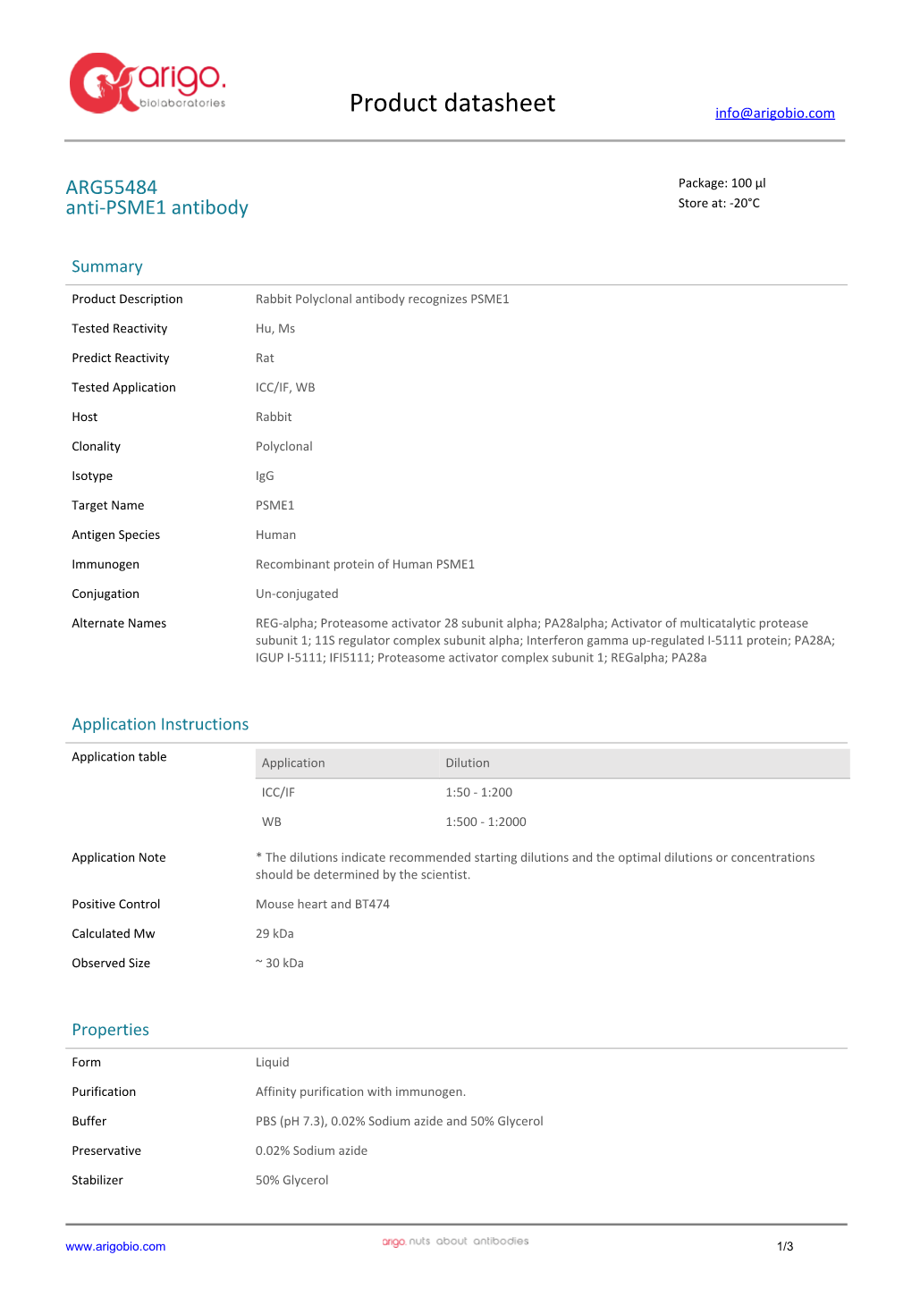 Anti-PSME1 Antibody (ARG55484)