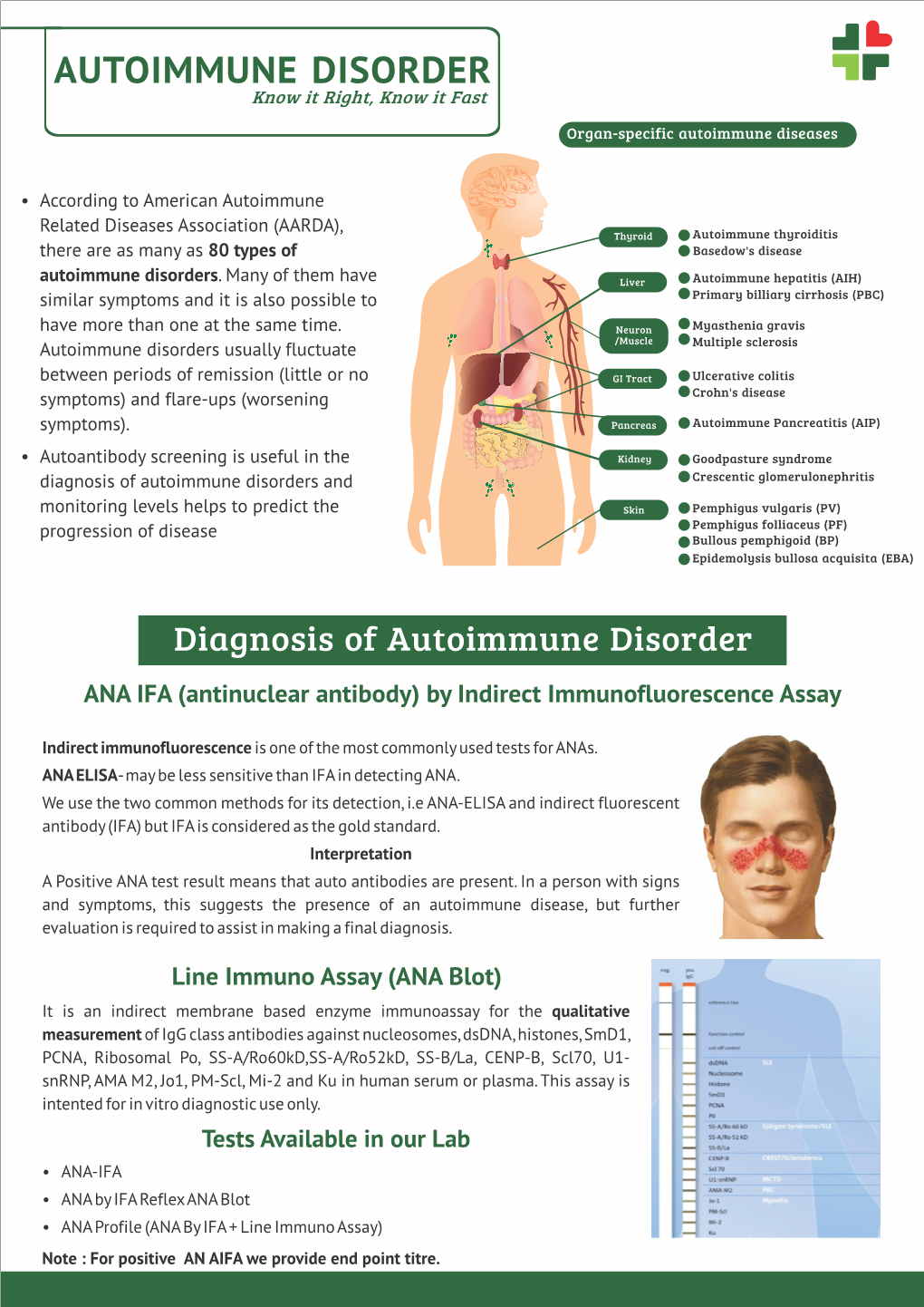 Autoimmune Disorders Diagnosis Literature