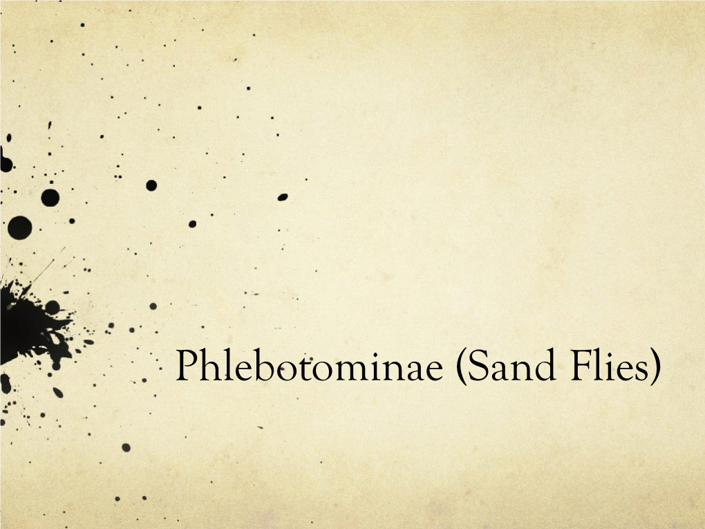 Phlebotominae (Sand Flies) Taxonomy