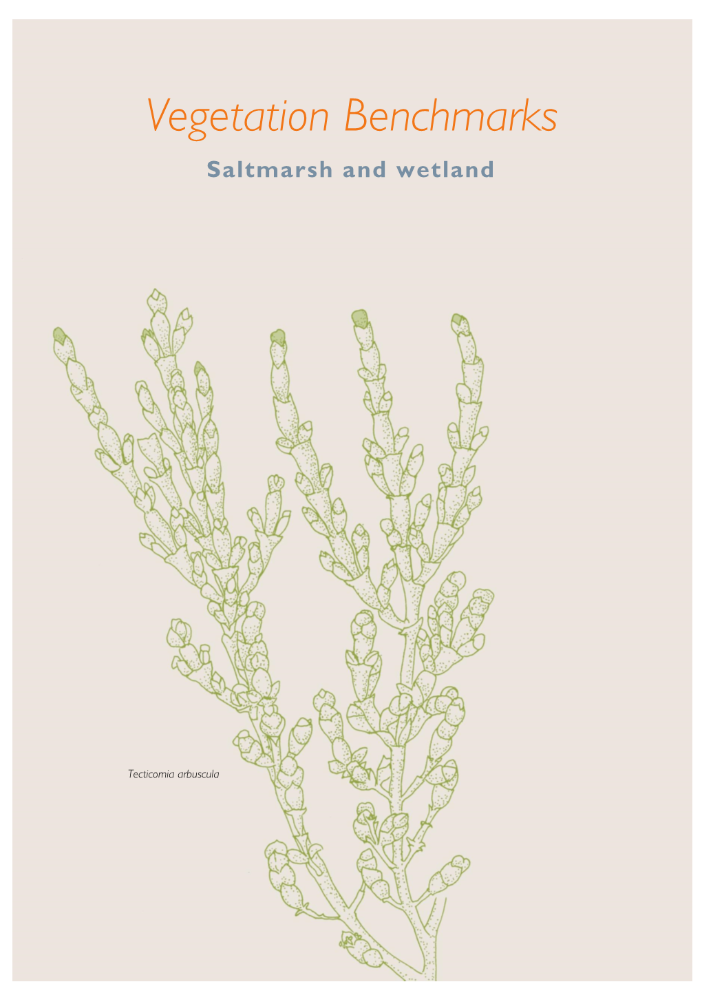 Vegetation Benchmarks Saltmarsh and Wetland