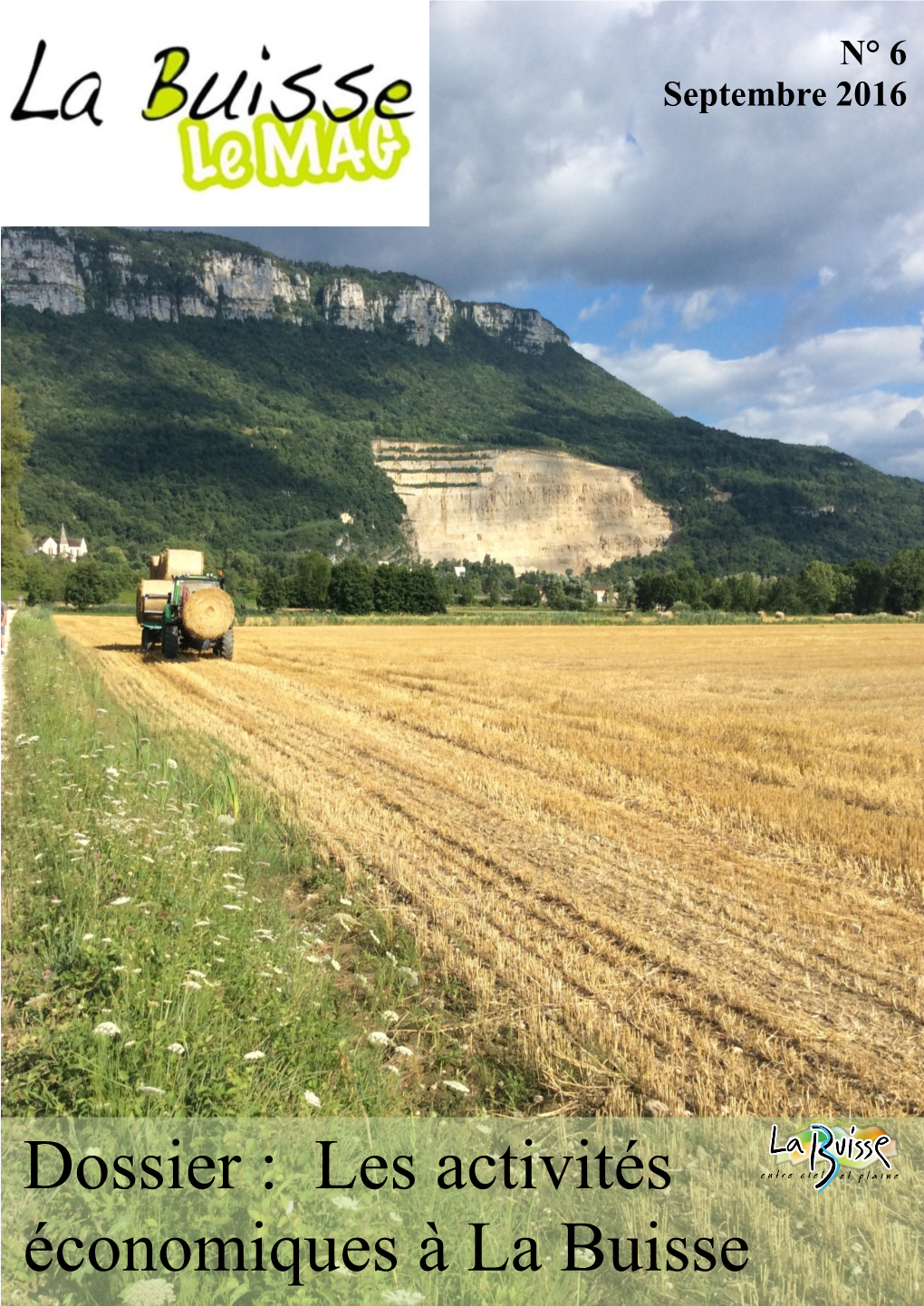 Les Activités Économiques À La Buisse 1 Rétro