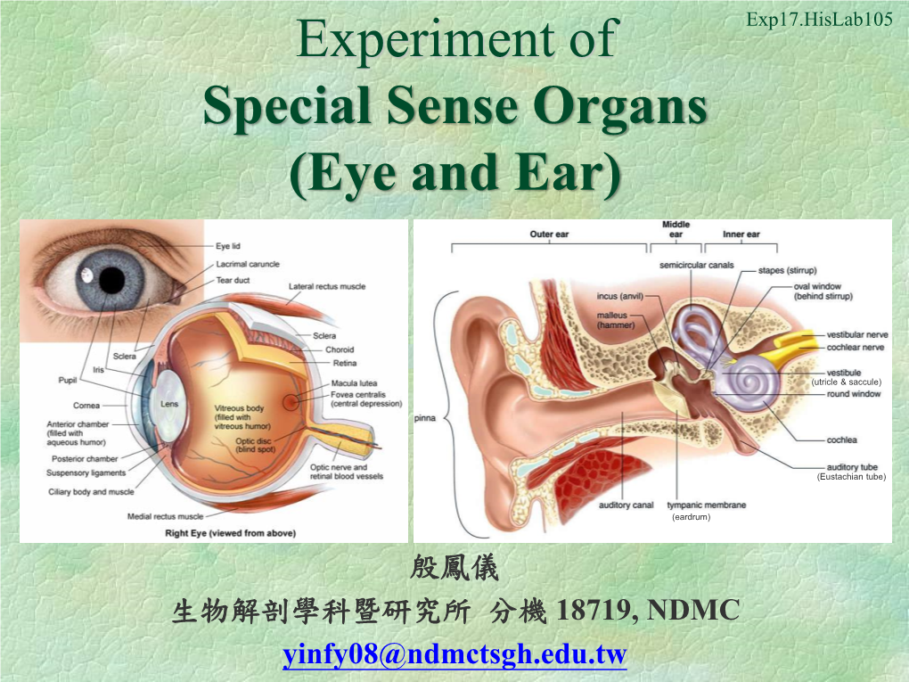 Experiment of Special Sense Organs (Eye and Ear)