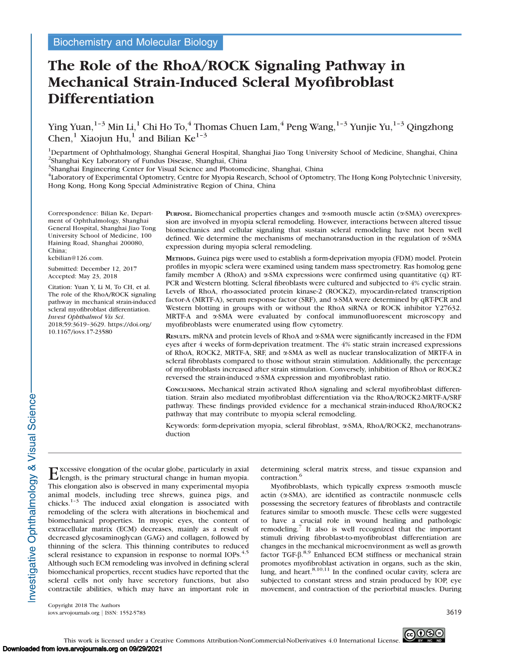 The Role of the Rhoa/ROCK Signaling Pathway in Mechanical Strain-Induced Scleral Myoﬁbroblast Differentiation