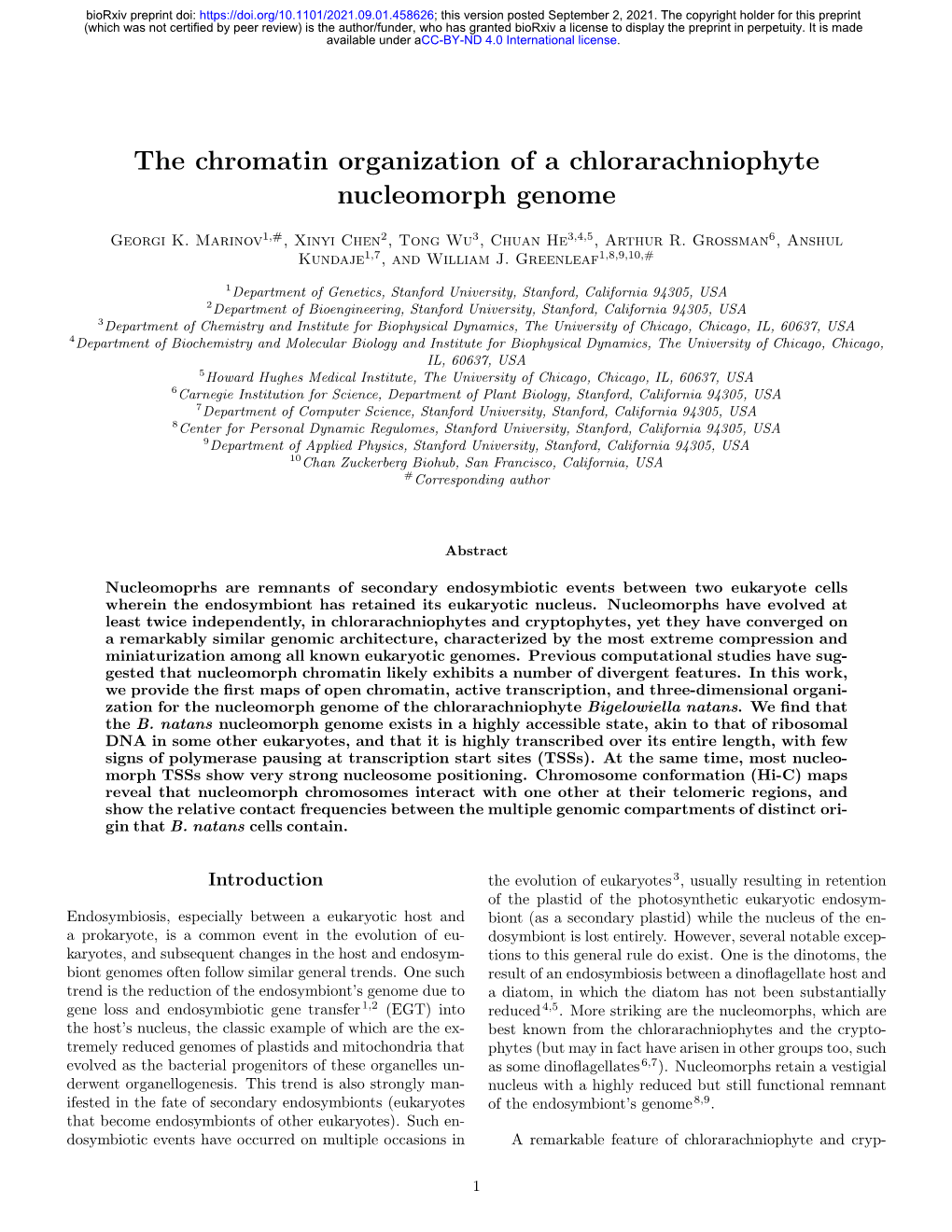 The Chromatin Organization of a Chlorarachniophyte Nucleomorph Genome