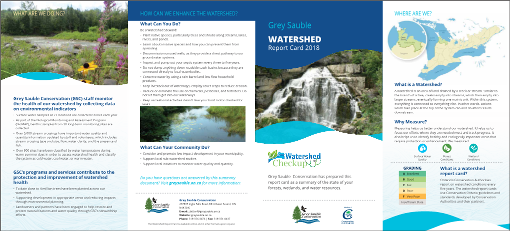 Grey Sauble WATERSHED