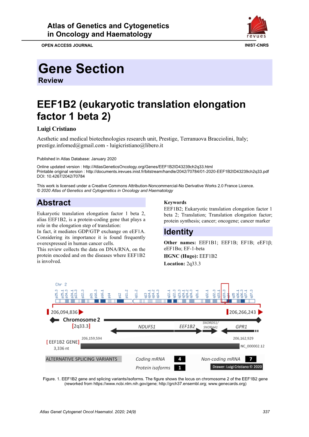 Gene Section Review