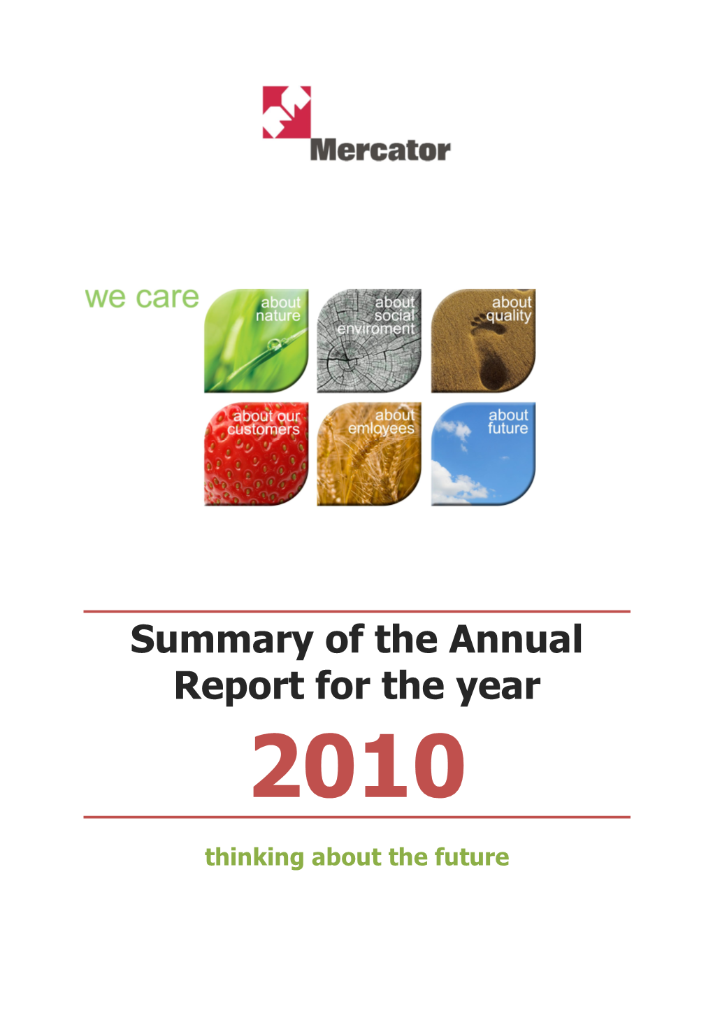 Summary of the Annual Report for the Year 2010