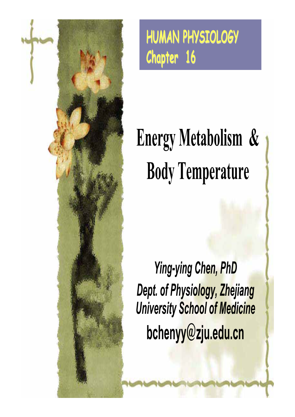 Energy Metabolism & Body Temperature