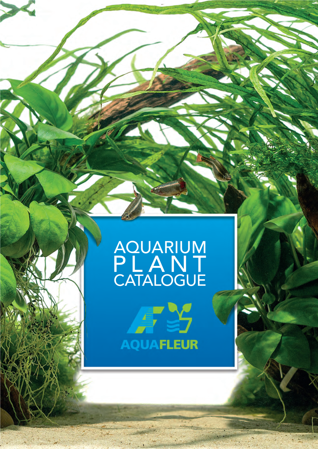 Aquarium Plant Catalogue Top Quality Aquarium Plants
