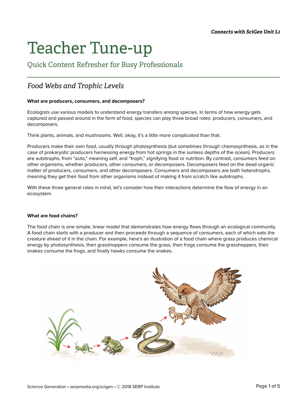 What Is a Food Web with Trophic Levels?