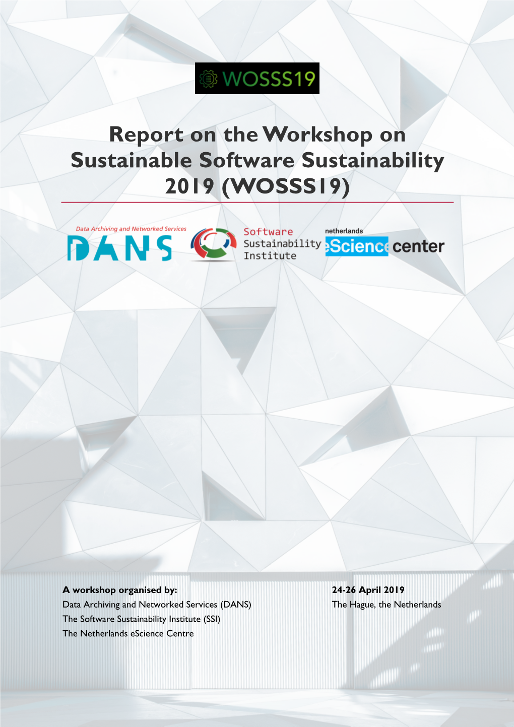 Report on the Workshop on Sustainable Software Sustainability 2019 (WOSSS19)