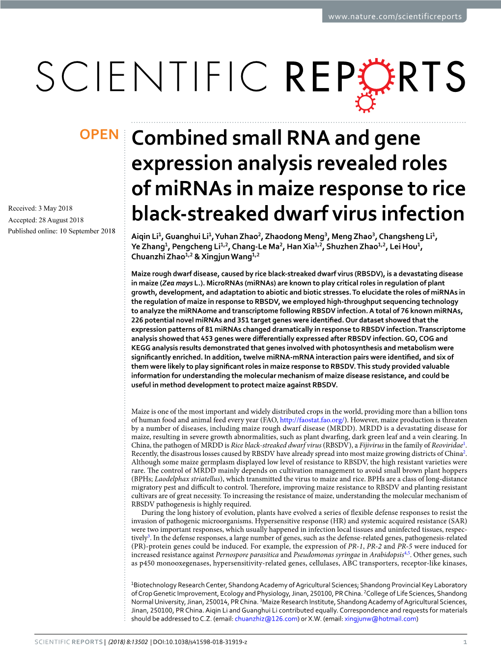 Combined Small RNA and Gene Expression Analysis Revealed Roles