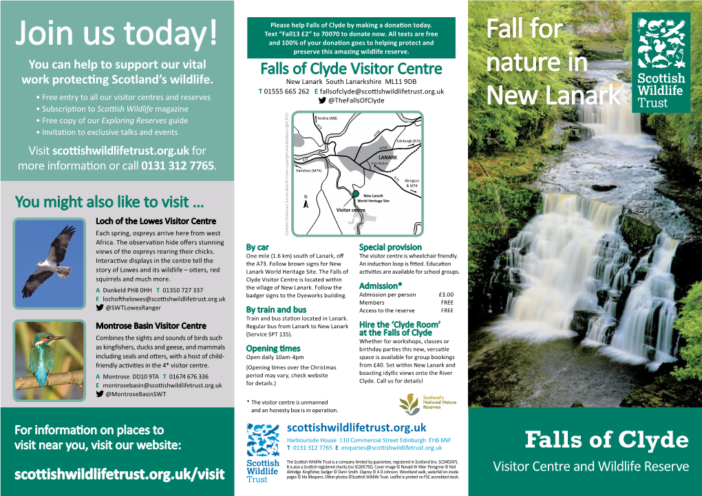 Fall for Nature in New Lanark