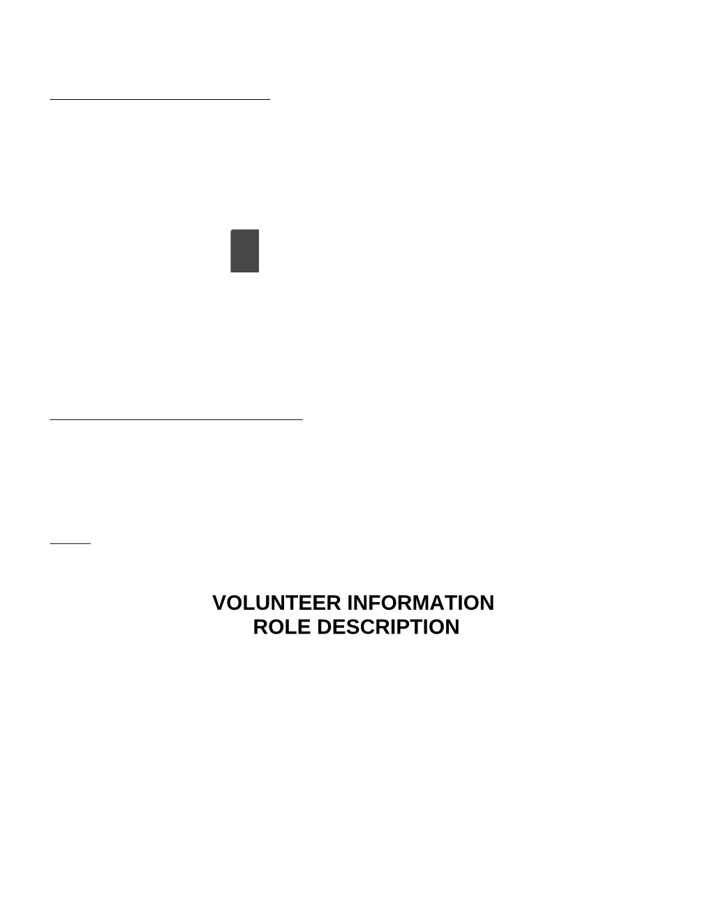 Volunteer Information Role Description