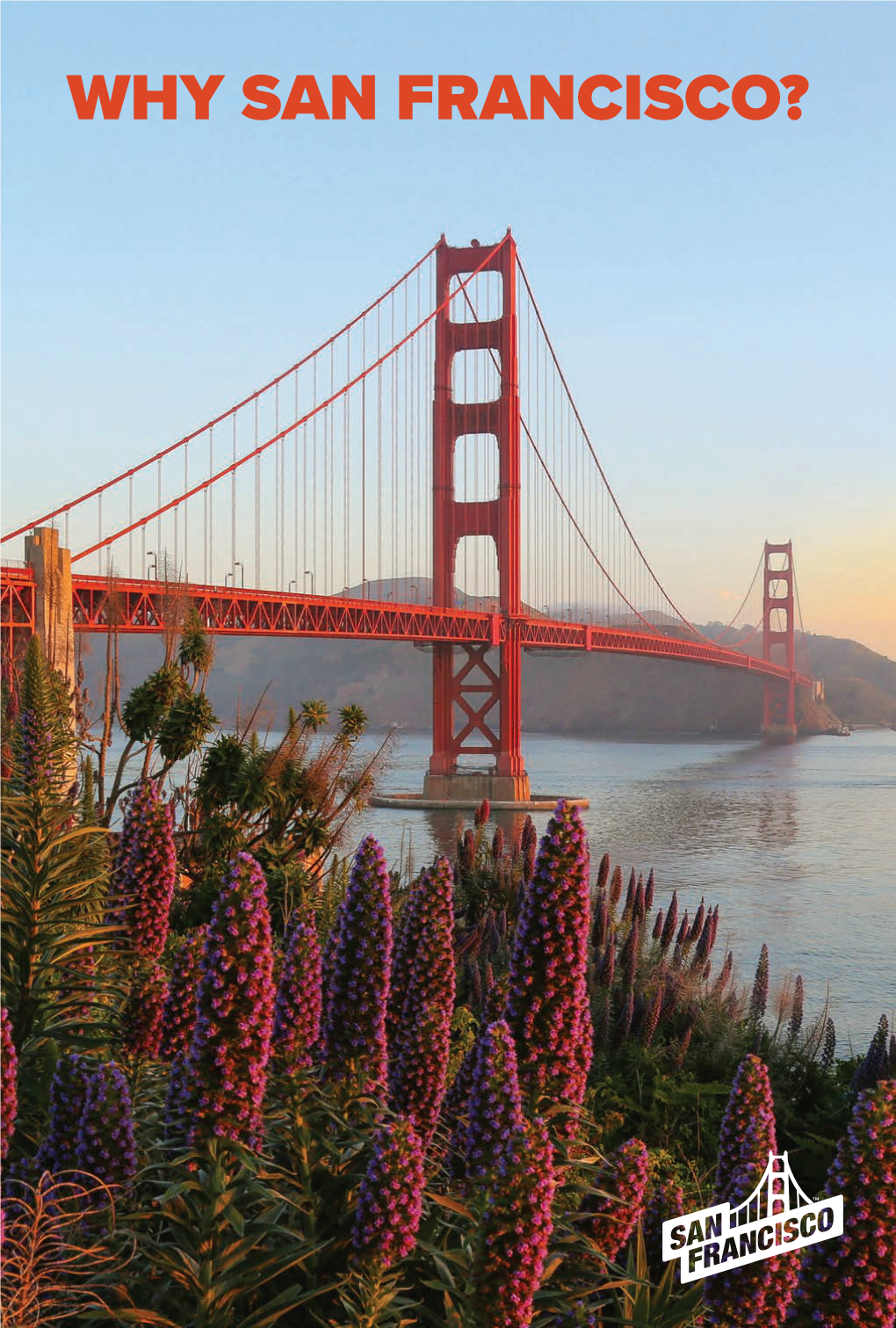 Why San Francisco? What Is San Francisco Travel?