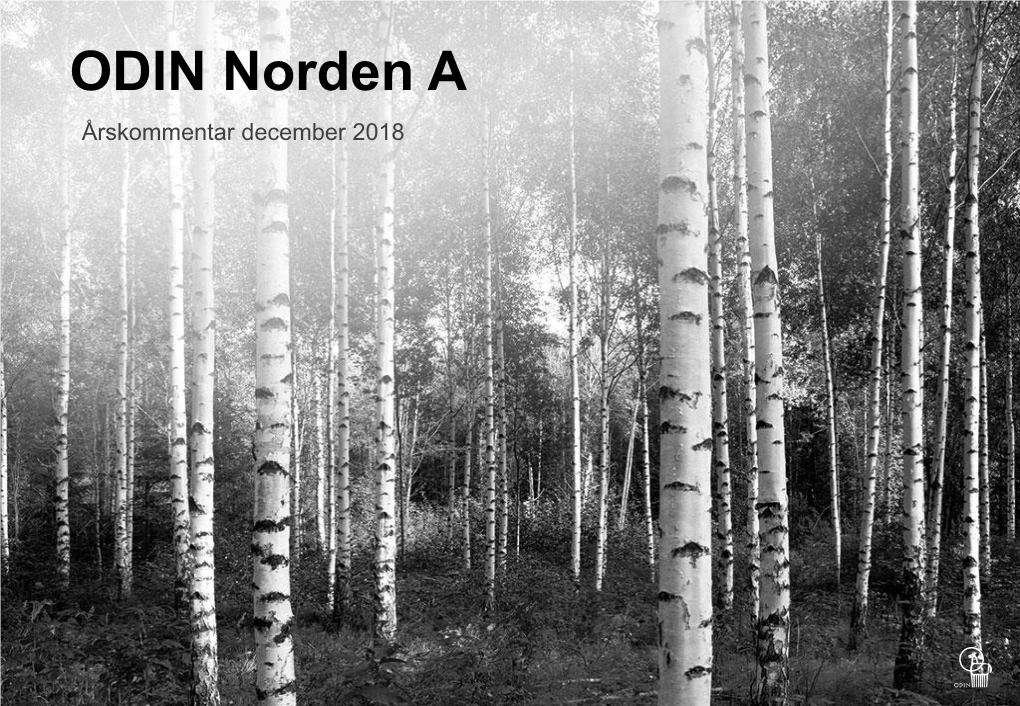 ODIN Norden a Årskommentar December 2018 Fondens Portfölj ODIN Norden a – December 2018