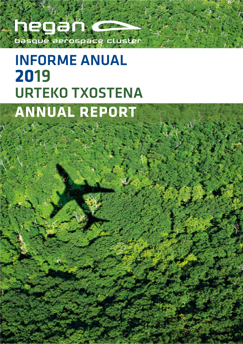 Informe Anual Urteko Txostena Annual Report