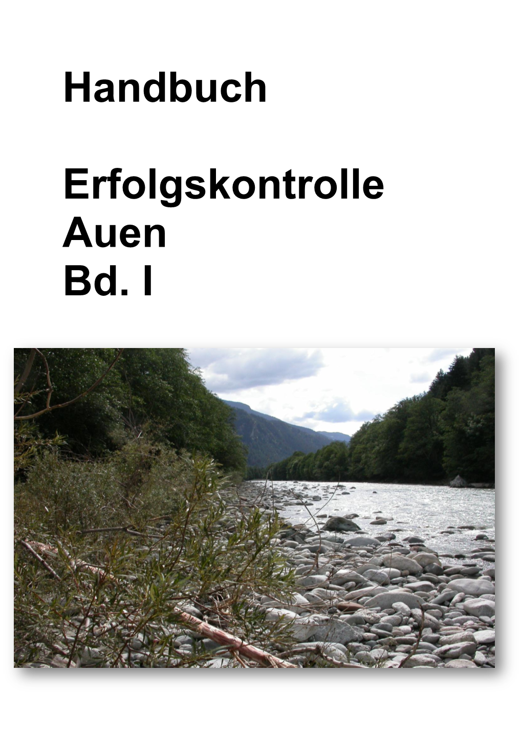 Handbuch Erfolgskontrolle Auen Bd. I
