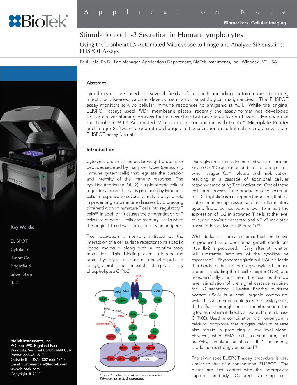 Stimulation of IL-2 Secretion in Human Lymphocytes Using the Lionheart LX Automated Microscope to Image and Analyze Silver-Stained ELISPOT Assays