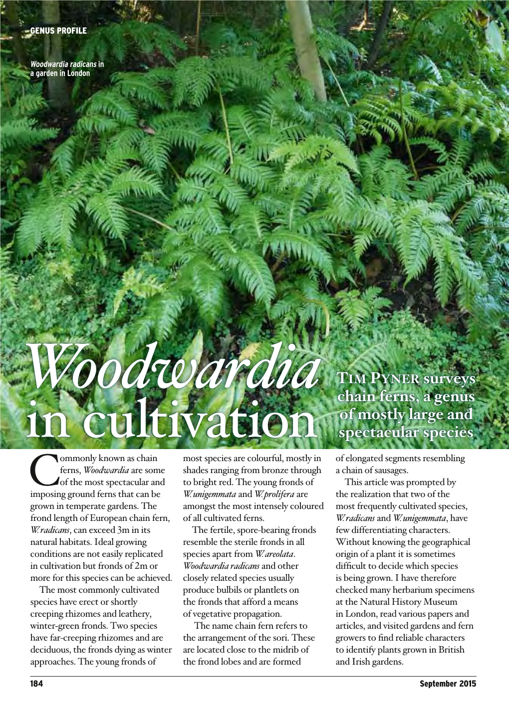 RHS the Plantsman, September 2015