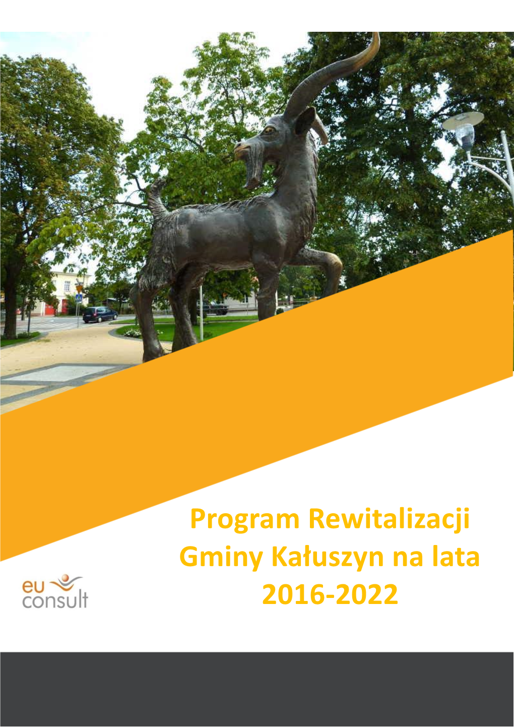 Program Rewitalizacji Gminy Kałuszyn Na Lata 2016-2022