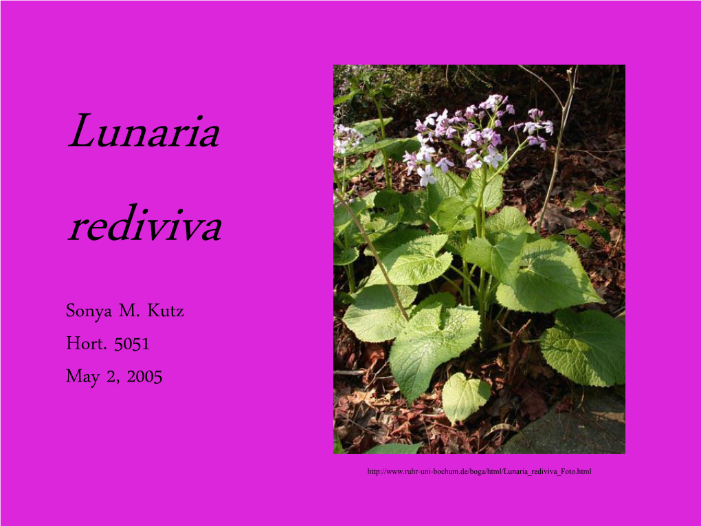 Lunaria Rediviva Sonya Kutz.Pdf