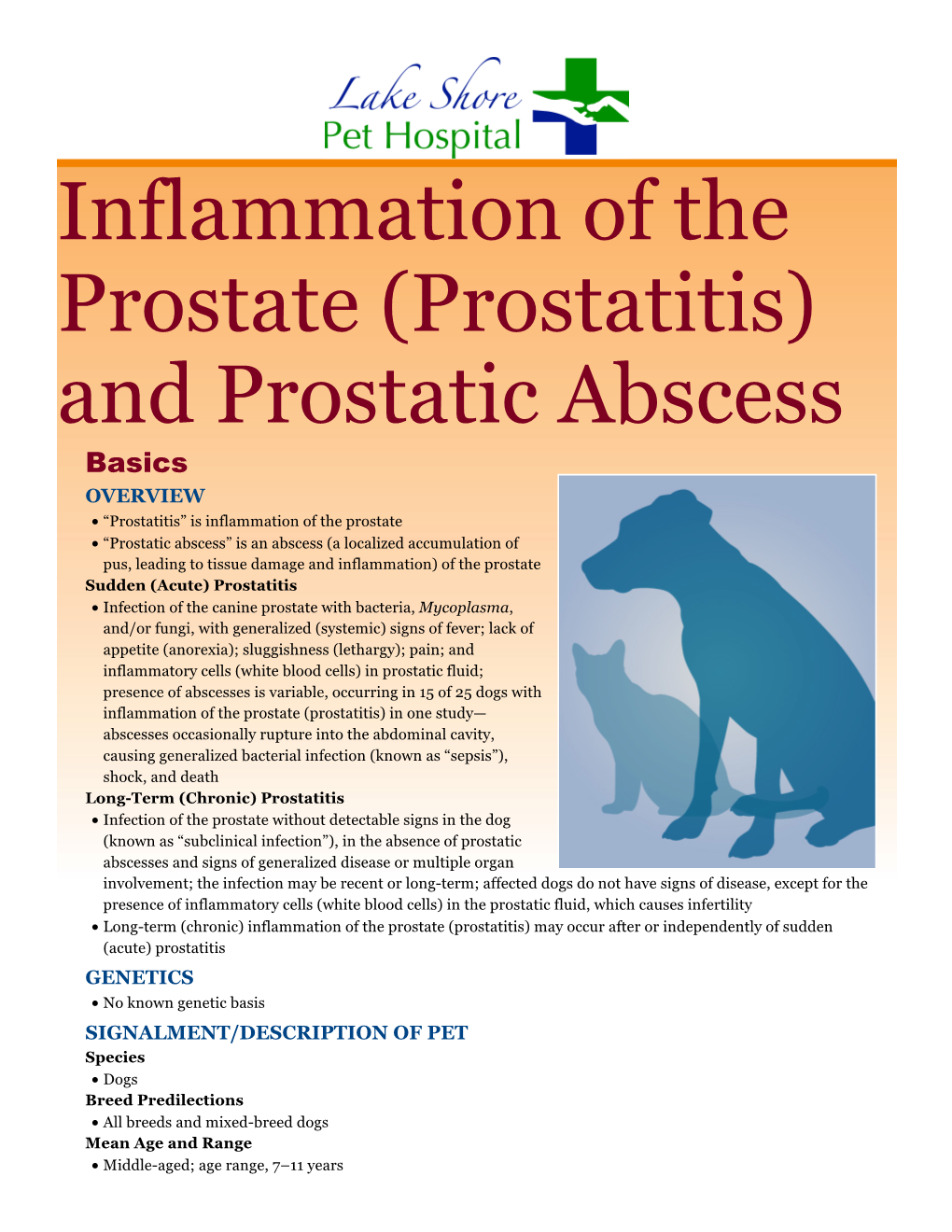 Inflammation of the Prostate