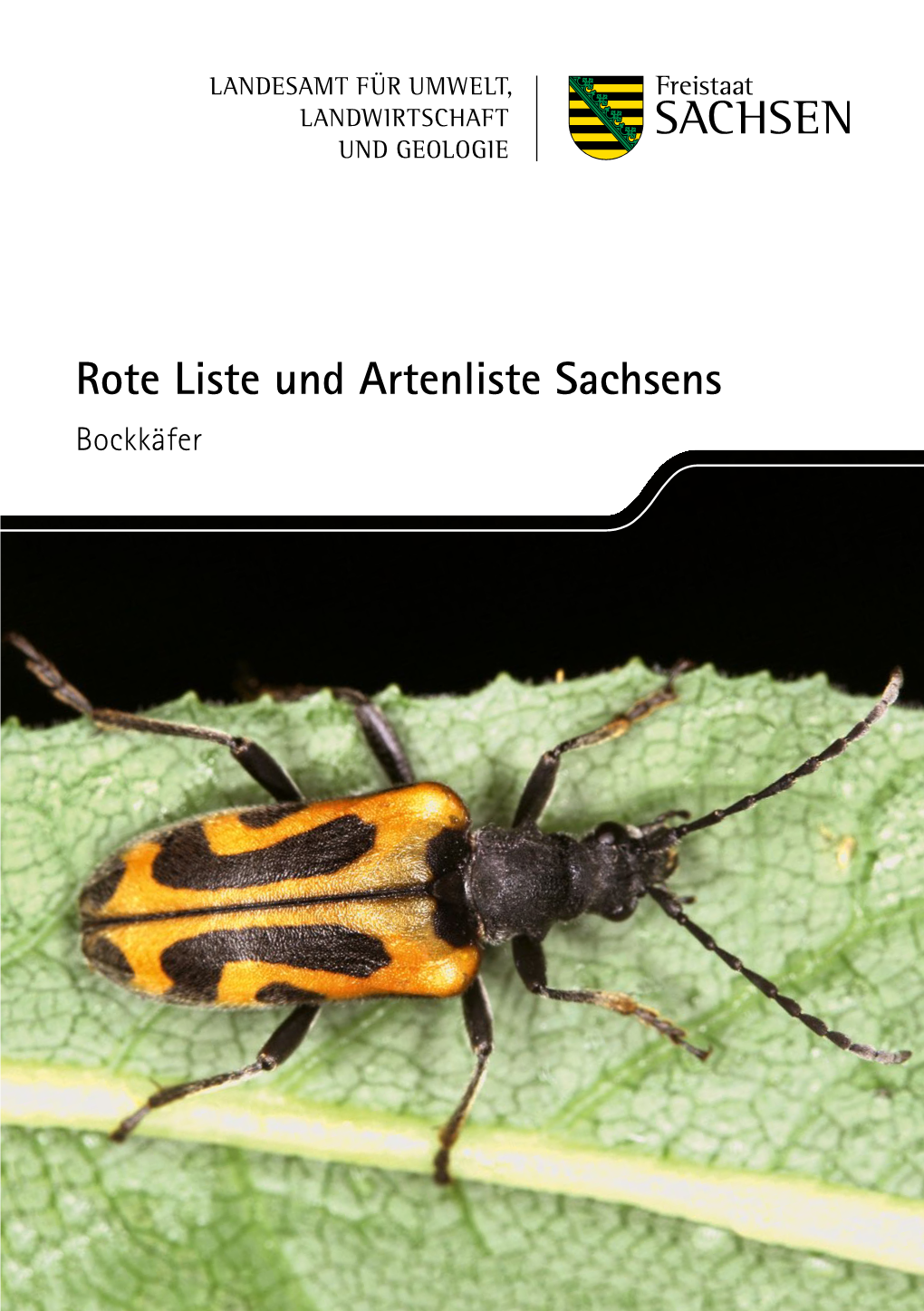 Rote Liste Und Artenliste Sachsens – Bockkäfer