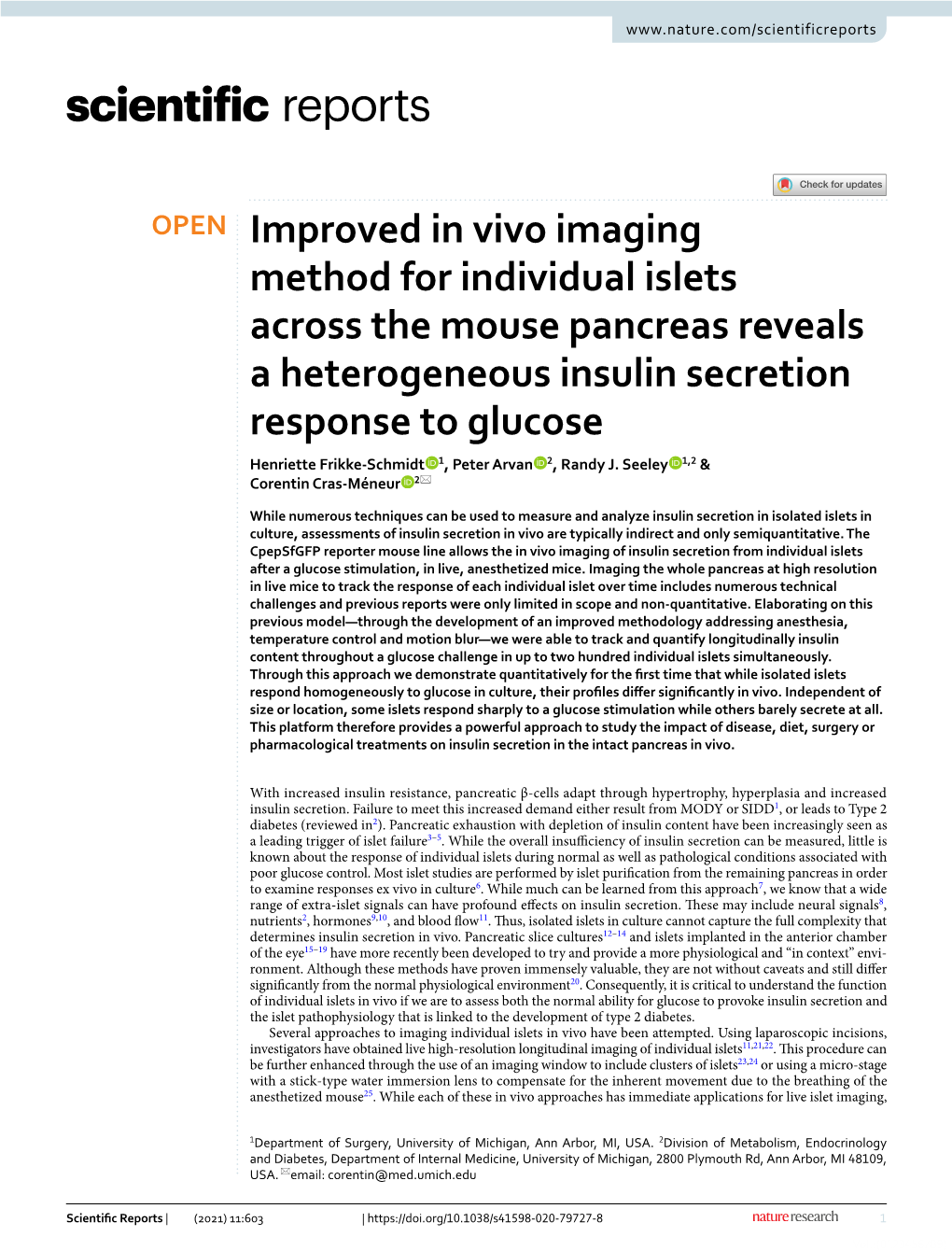 Improved in Vivo Imaging Method for Individual Islets Across the Mouse