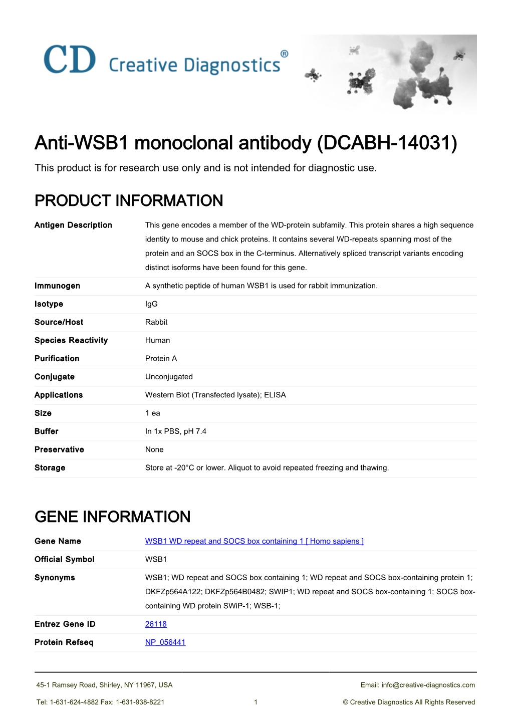 Anti-WSB1 Monoclonal Antibody (DCABH-14031) This Product Is for Research Use Only and Is Not Intended for Diagnostic Use