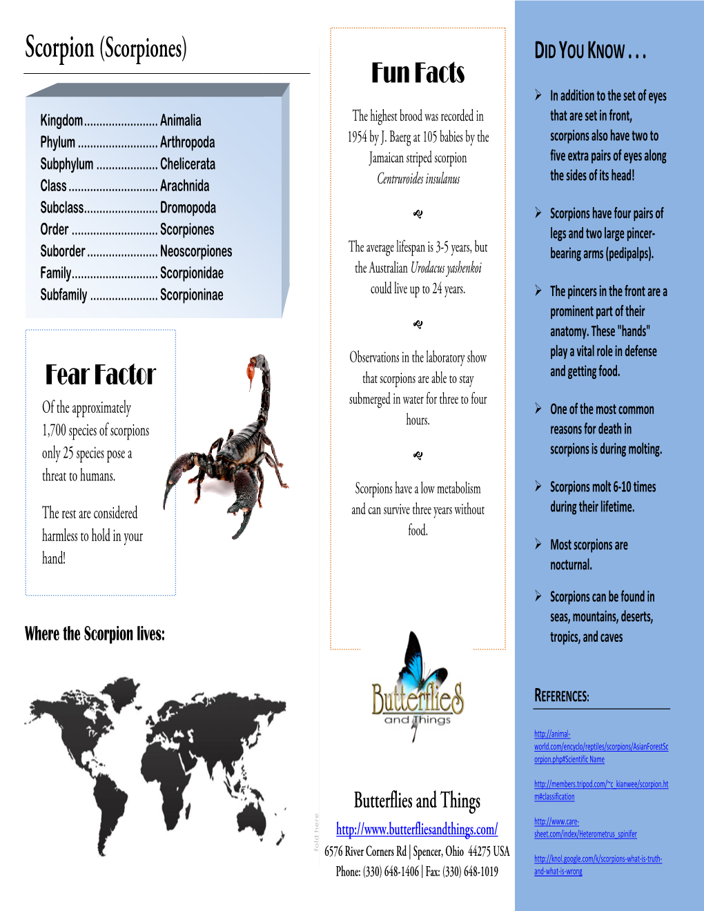 Fear Factor Scorpion (Scorpiones) Fun Facts