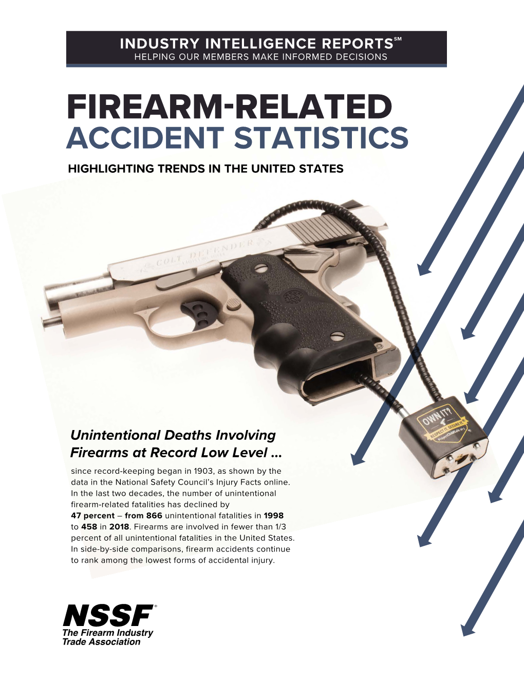 Firearm-Related Accident Statistics Highlighting Trends in the United States