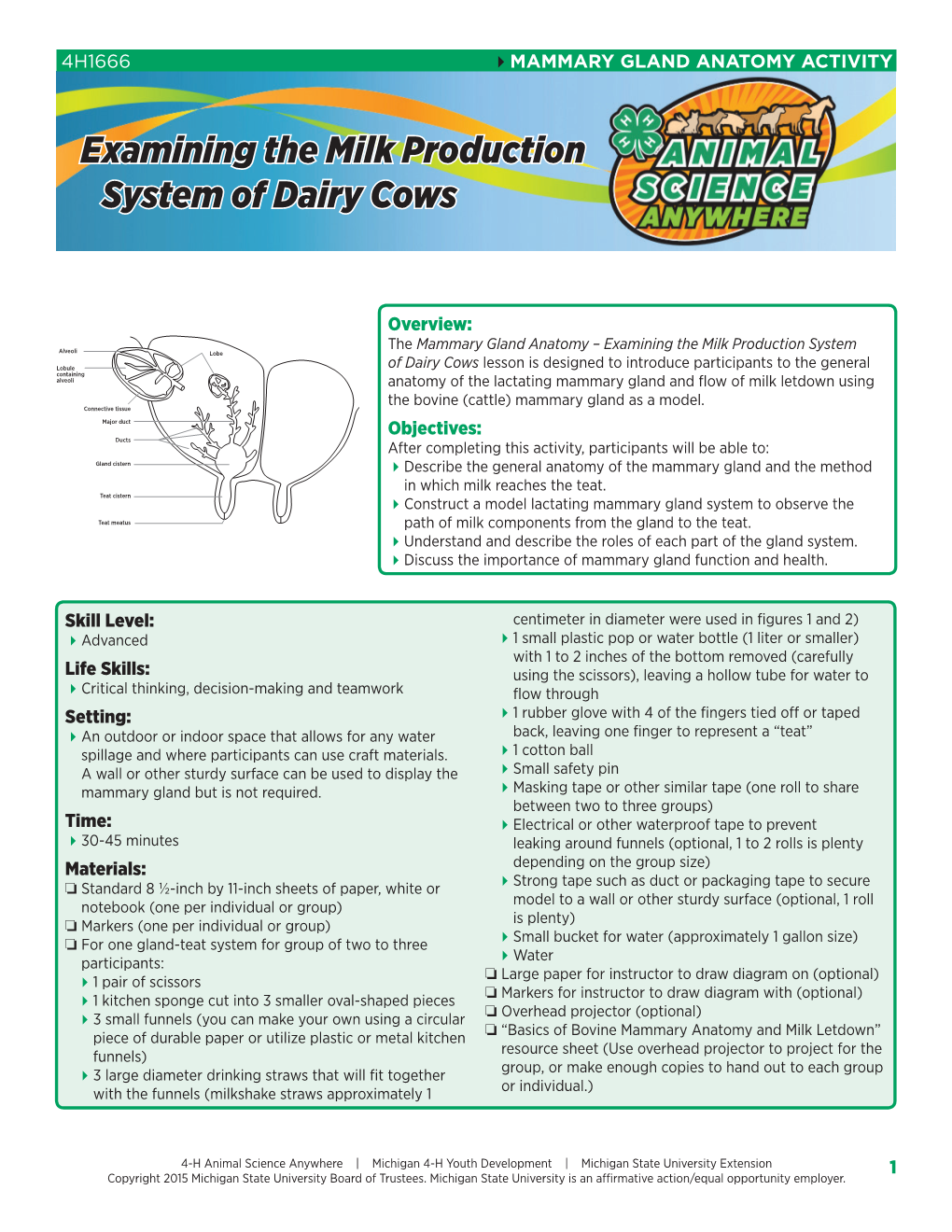 Examining the Milk Production System of Dairy Cows