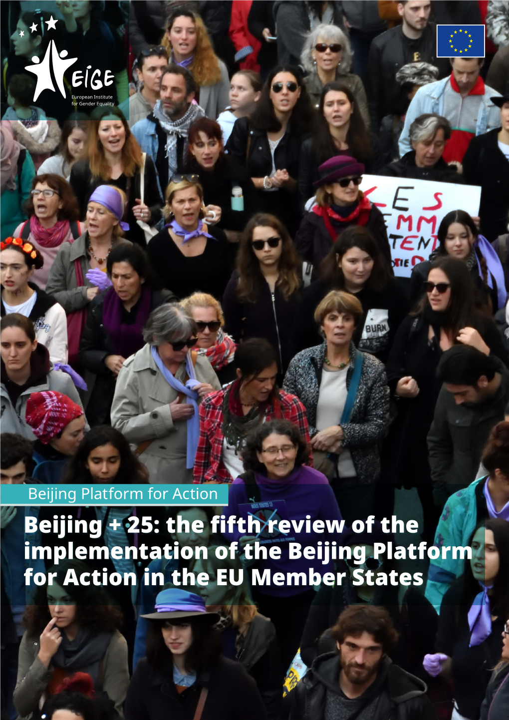 Beijing + 25: the Fifth Review of the Implementation of the Beijing Platform for Action in the EU Member States Acknowledgements