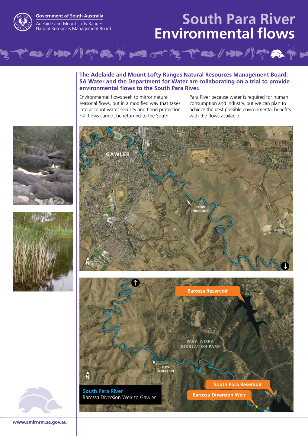South Para River Environmental Flows