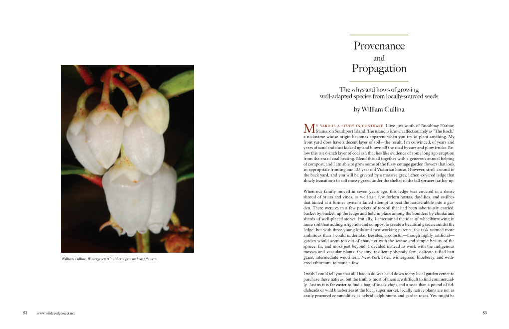 Provenance Propagation