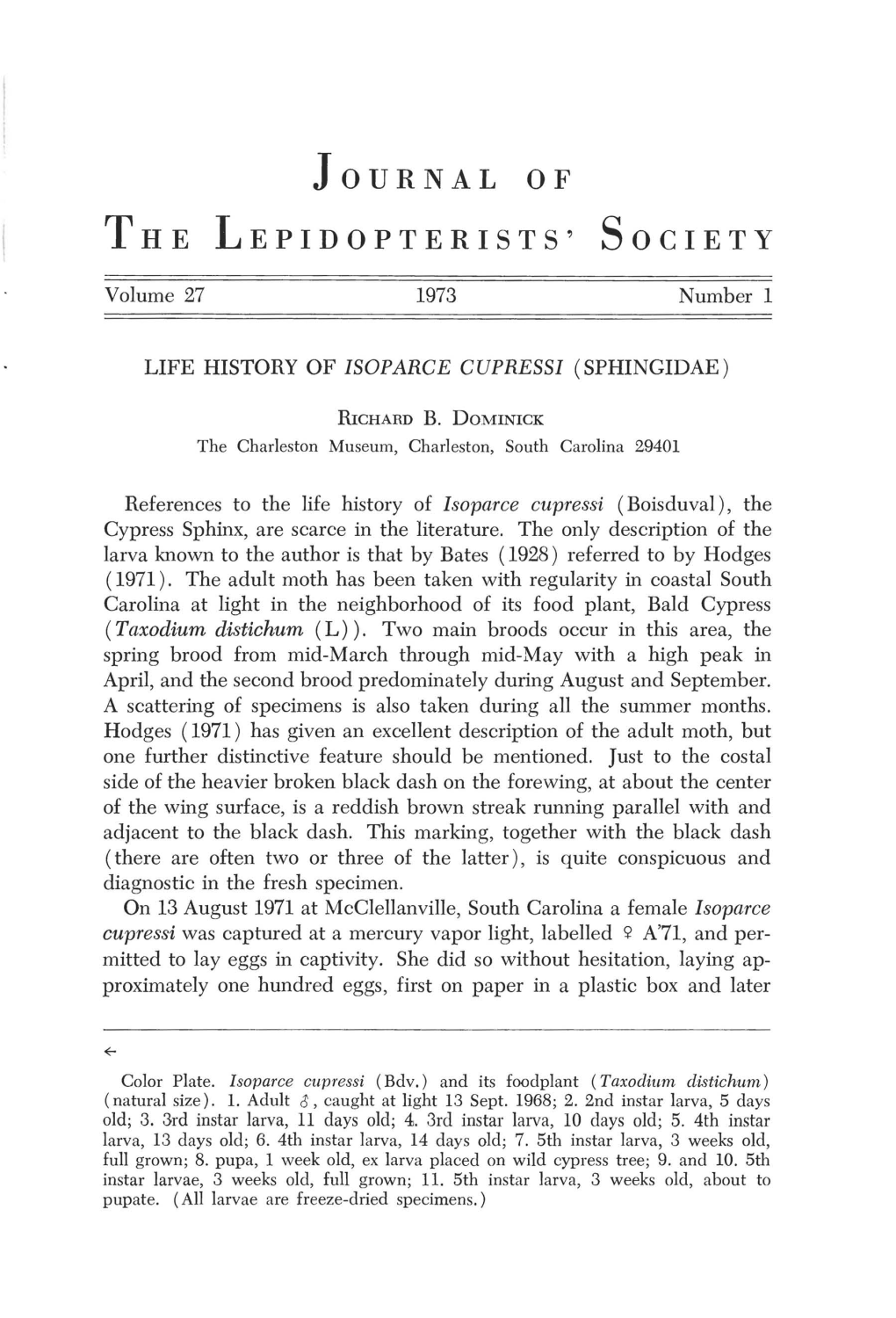 Life History of Isoparce Cupressi (Sphingidae)