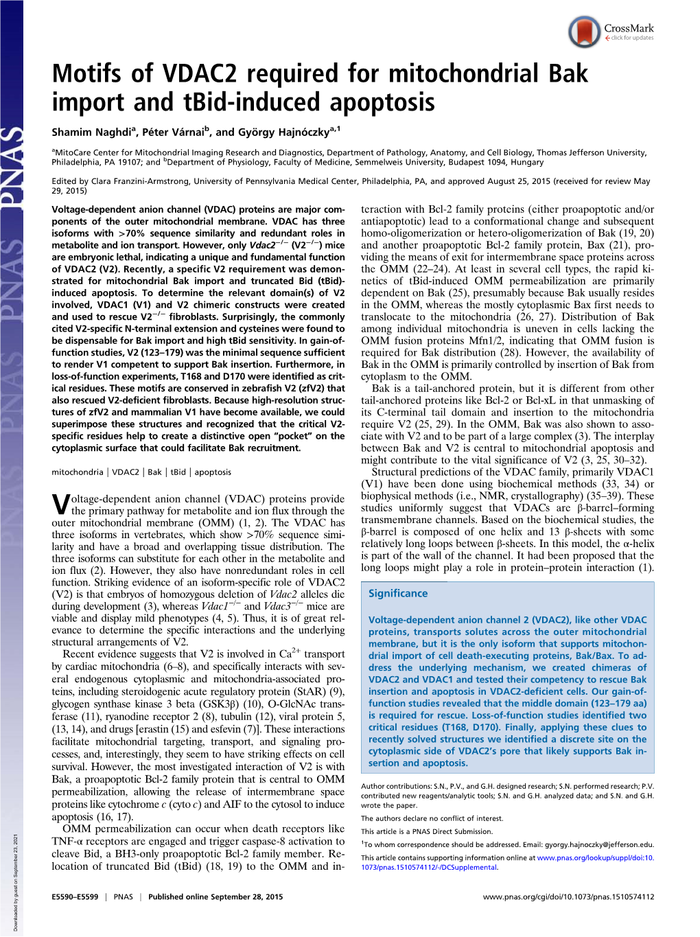 Motifs of VDAC2 Required for Mitochondrial Bak Import and Tbid-Induced Apoptosis