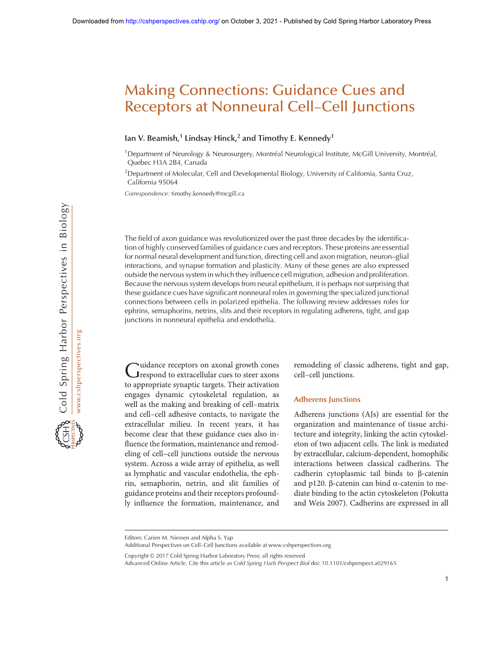 Guidance Cues and Receptors at Nonneural Cell–Cell Junctions