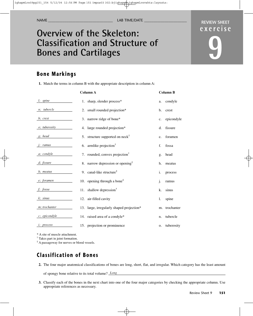 Overview of the Skeleton: Classification and Structure of Bones and Cartilages 9 Bone Markings