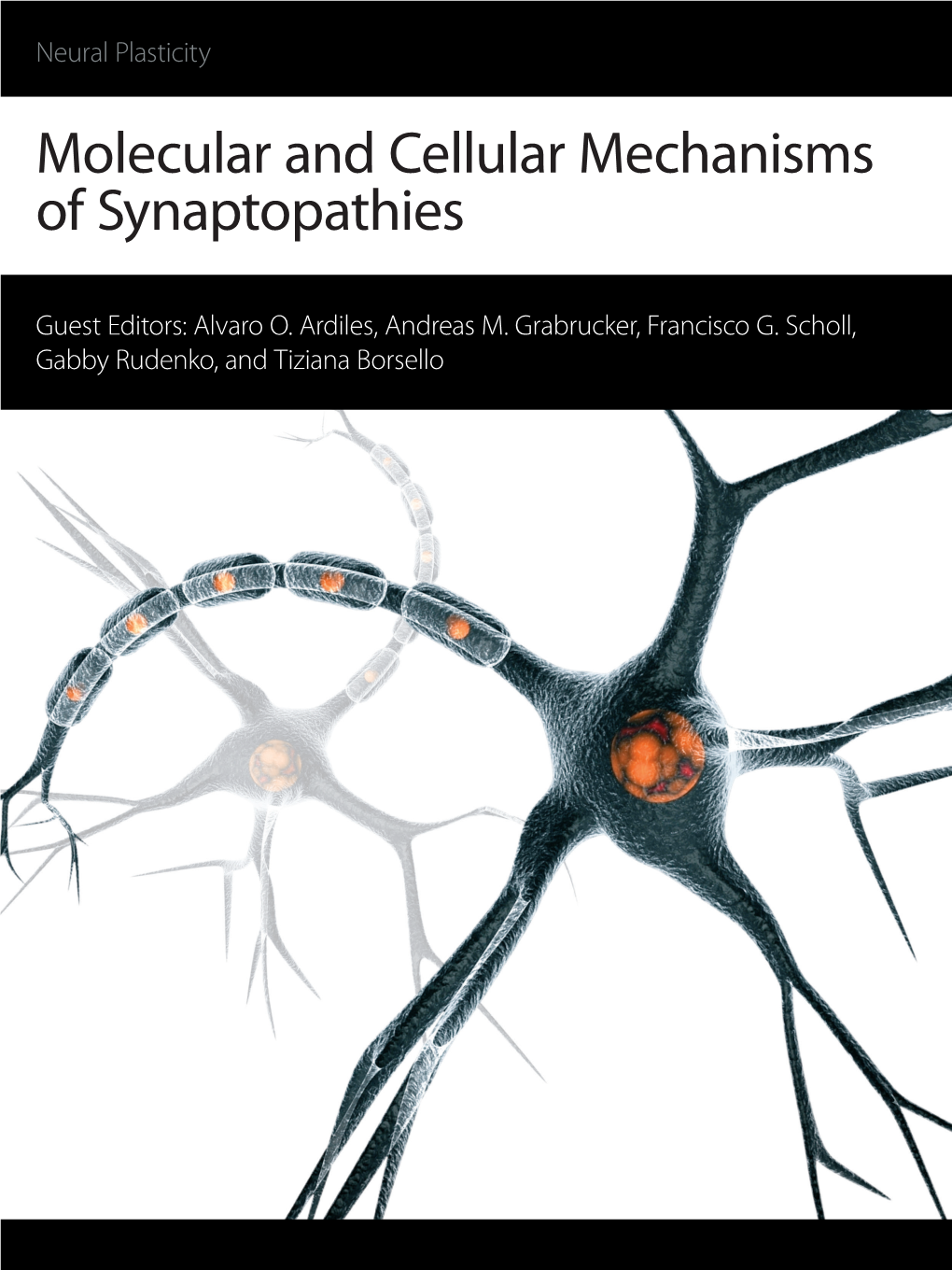 Molecular and Cellular Mechanisms of Synaptopathies