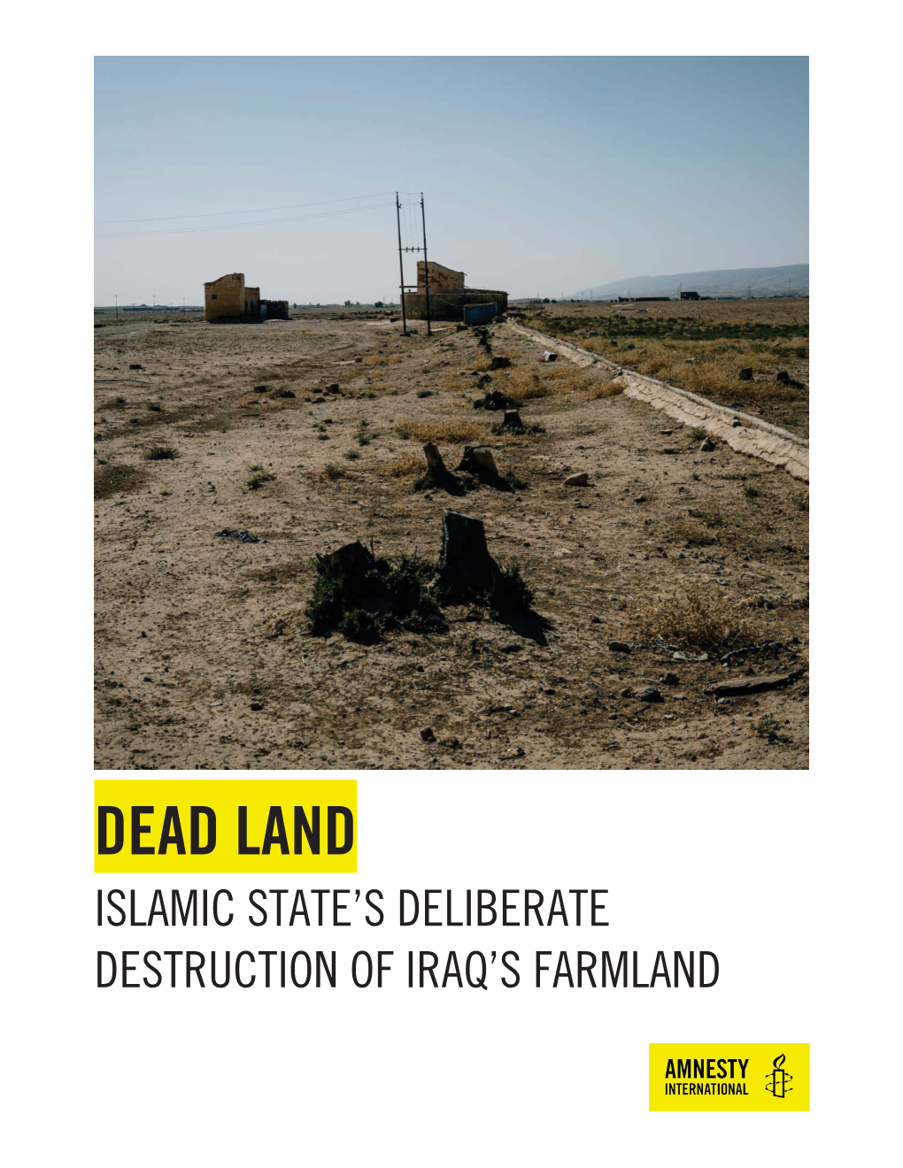 Dead Land Islamic State’S Deliberate Destruction of Iraq’S Farmland