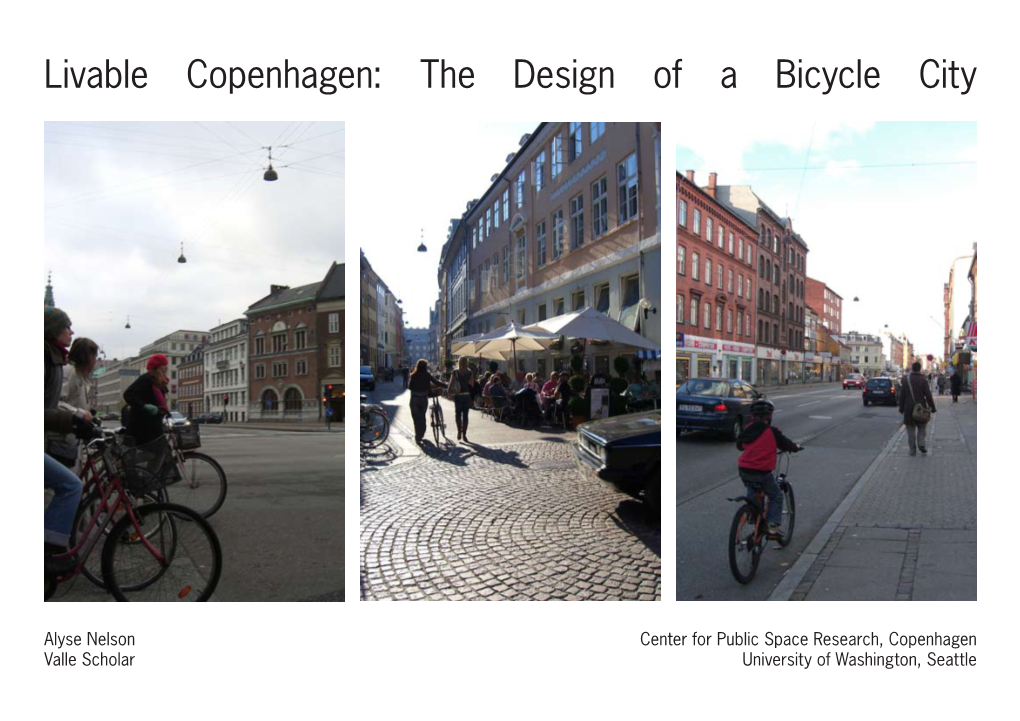 Livable Copenhagen: the Design of a Bicycle City