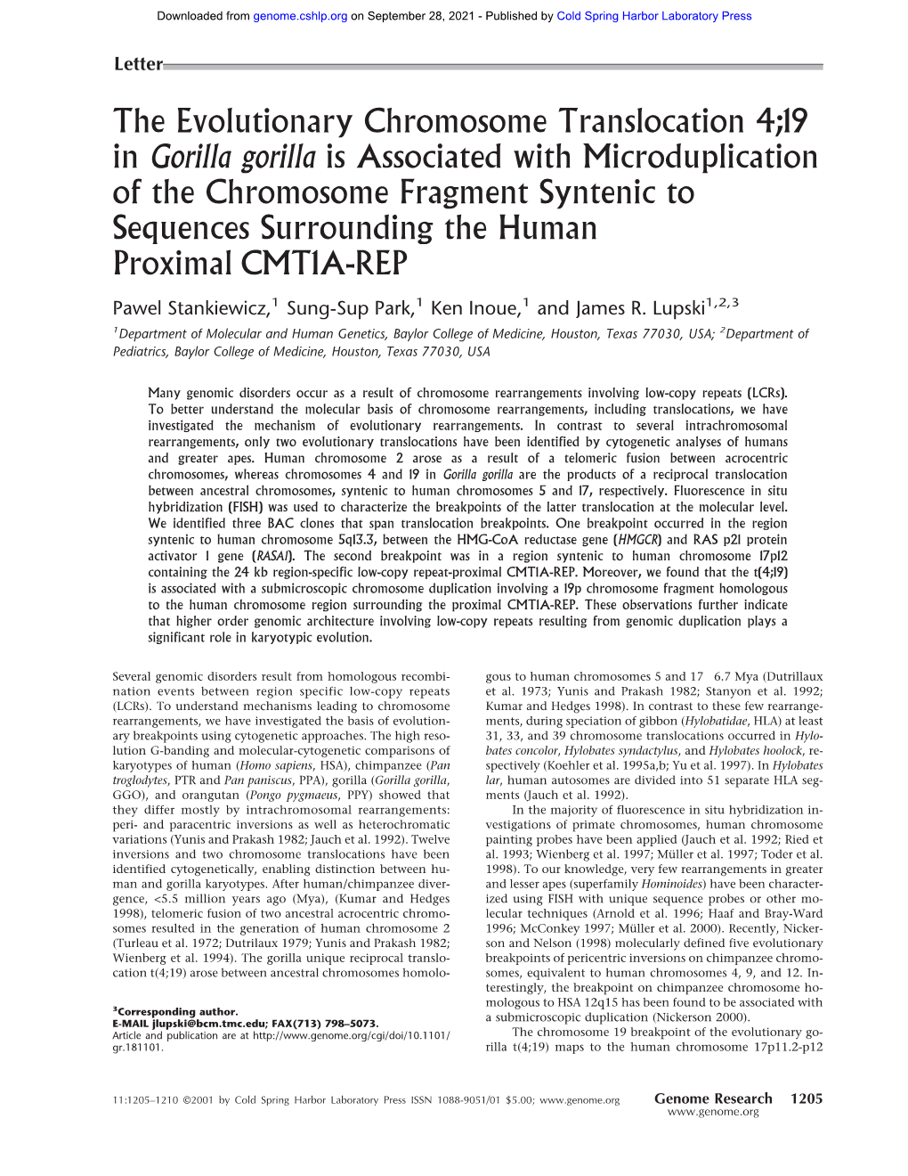 The Evolutionary Chromosome Translocation 4;19 in Gorilla Gorilla