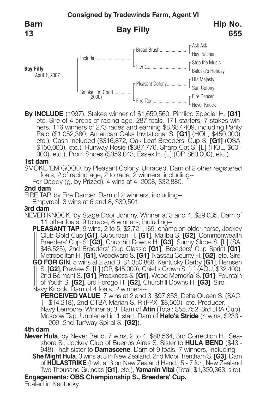 Bay Filly Barn 13 Hip No