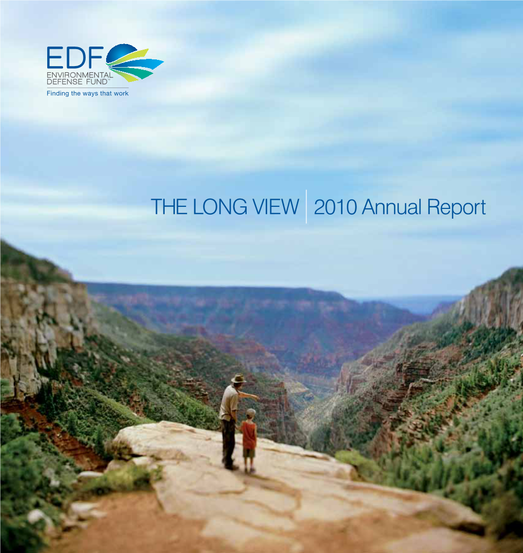 THE LONG VIEW 2010 Annual Report